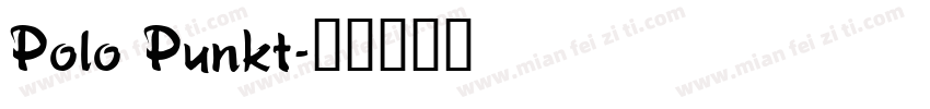 Polo Punkt字体转换